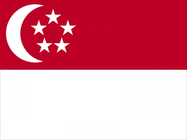 新加坡公司注册条件